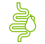 Meets the FDA definition of dietary fiber