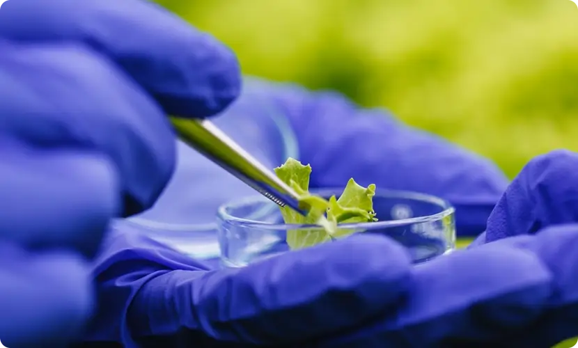The Science <br>Behind Sunfiber<sup>®</sup>