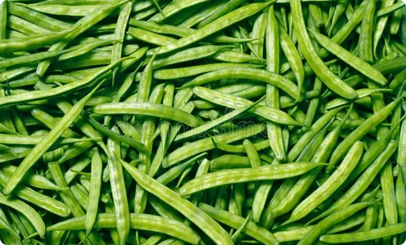 What is Sunfiber<sup>®</sup>?